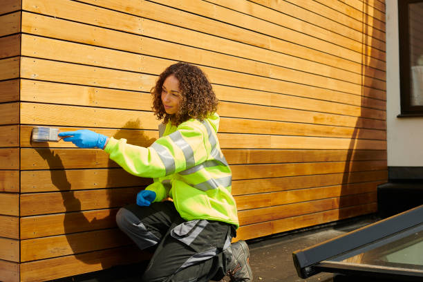Best Siding Painting and Refinishing  in Meridian, CO